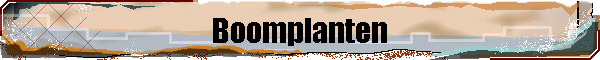 Boomplanten