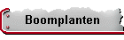 Boomplanten