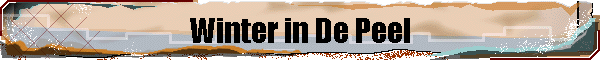 Winter in De Peel