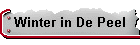 Winter in De Peel