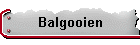 Balgooien